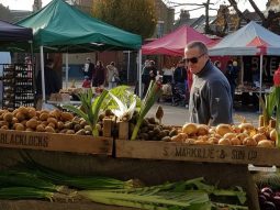 Balham Farmers Market
