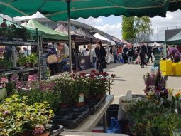 Parliament Hill Farmers Market