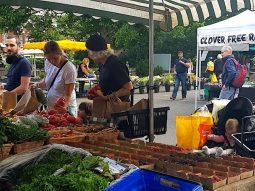 Wimbledon Farmers Market